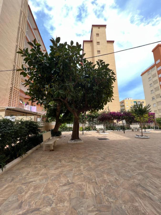 Ap Cande Playa De Gandia Экстерьер фото